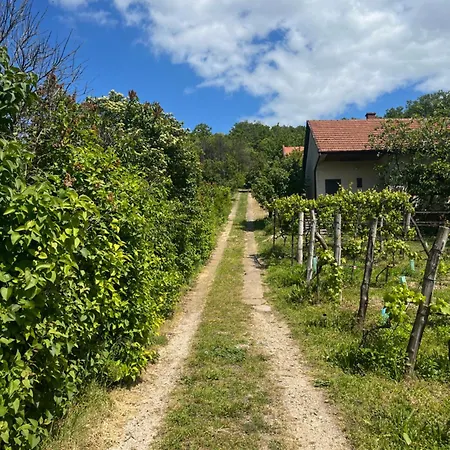 Agnes Panorama Haza