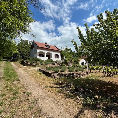 Agnes Panorama Haza