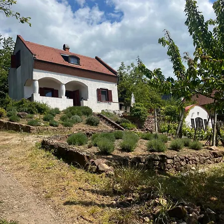 Hotel Agnes Panorama Haza