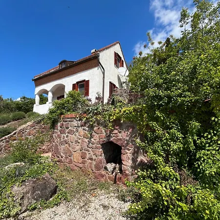 Agnes Panorama Haza